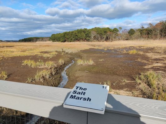 Mass Audubon Wellfleet Bay Wildlife Sanctuary by null