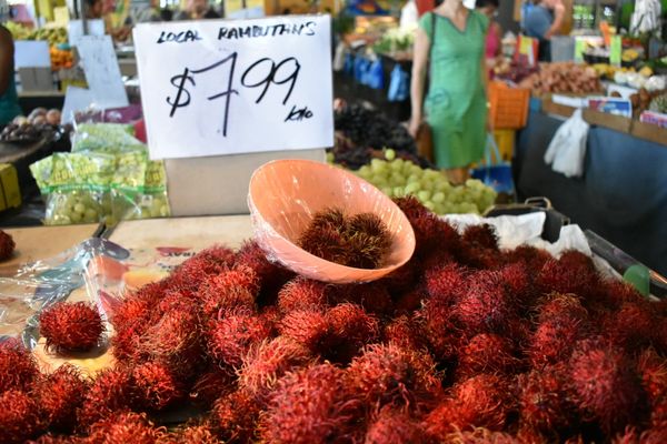 Rusty's Markets by null