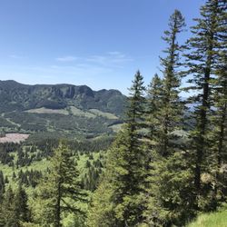 Saddle Mountain State Natural Area