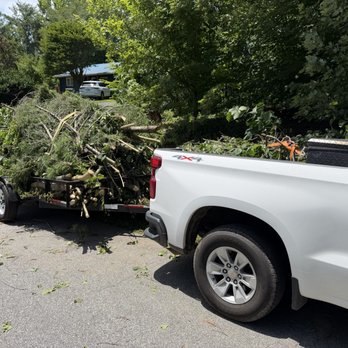 Low Country Debris & Disposal - Yard debris removal and a tree was trimmed. - Junk Removal & Hauling Near Me - Canton, North Carolina Low Country Debris & Disposal - Yard debris removal and a tree was trimmed. - Junk Removal & Hauling Near Me - Canton, North Carolina