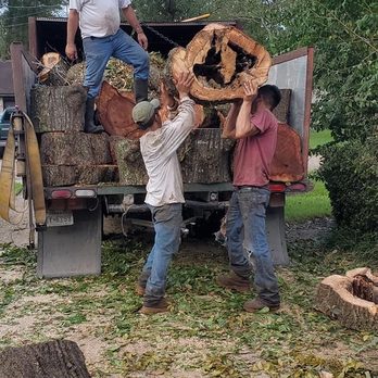 Williams Tree Service - Tree Services Near Me Williams Tree Service - Tree Services Near Me