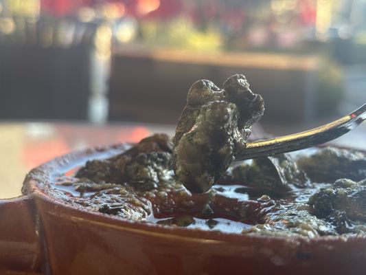 bouillon NEWPORT by null