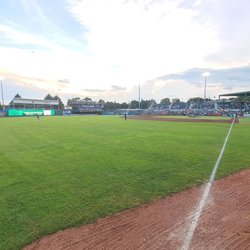Madison Mallards