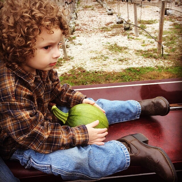 WRF NURSERY & GARDEN CENTER Updated June 2024 10 Photos 255 E 150th S, Valparaiso, Indiana