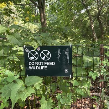 Kissena Park - Do Not Feed Wildlife - Parks Near Me - Flushing, New York Kissena Park - Do Not Feed Wildlife - Parks Near Me - Flushing, New York