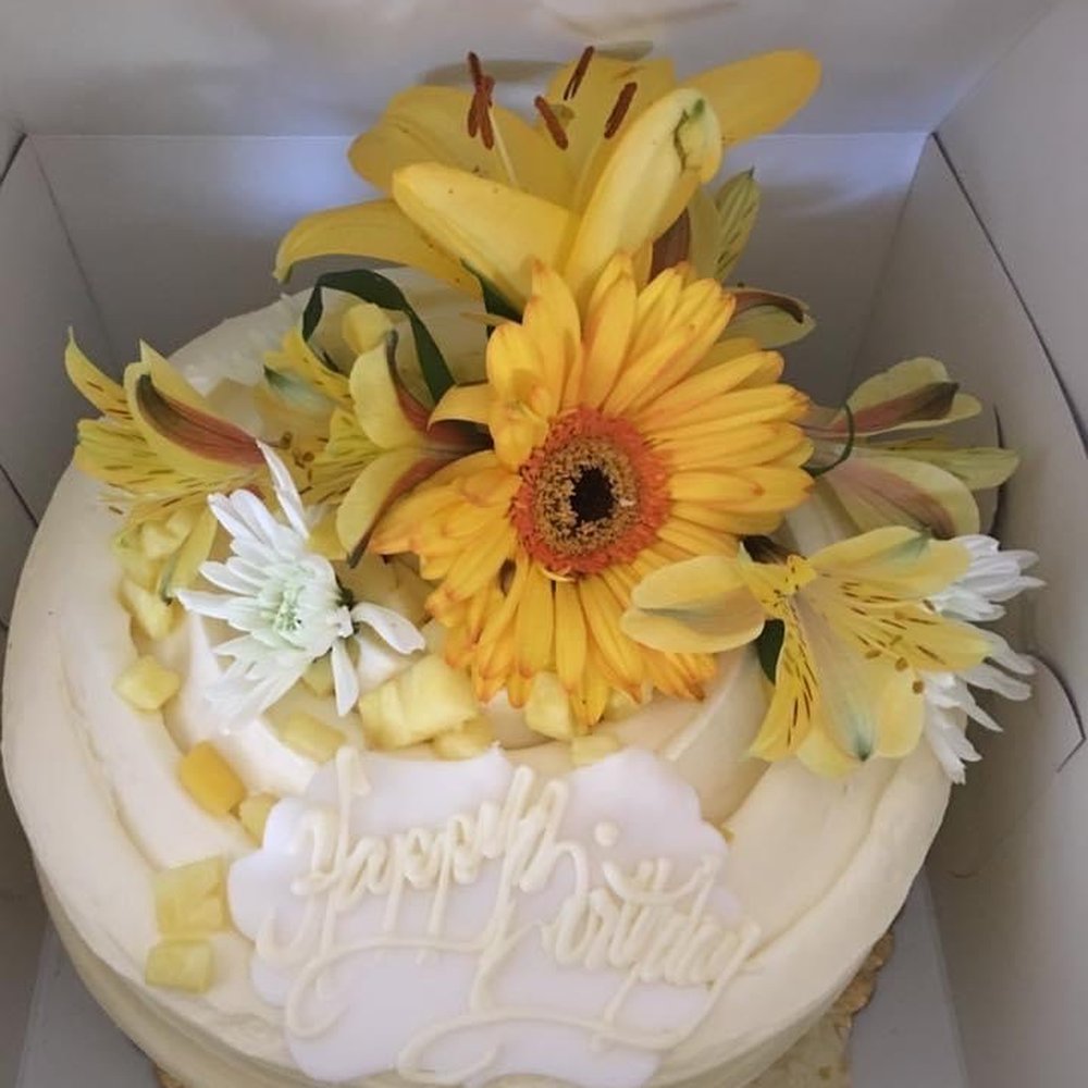 Chocolate Pi - 2019 - Desserts Near Me - Tampa, Florida Chocolate Pi - 2019 - Desserts Near Me - Tampa, Florida