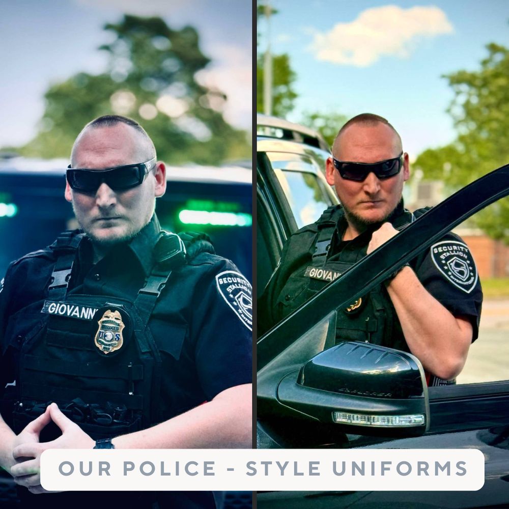 Stallion International Group - safety consultant in Holiday, FL