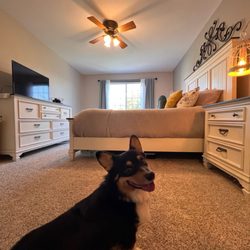 Linn's Carpet & Flooring