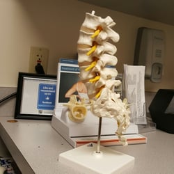 Florida Back Institute - Ohhhh, so that's what hurts.