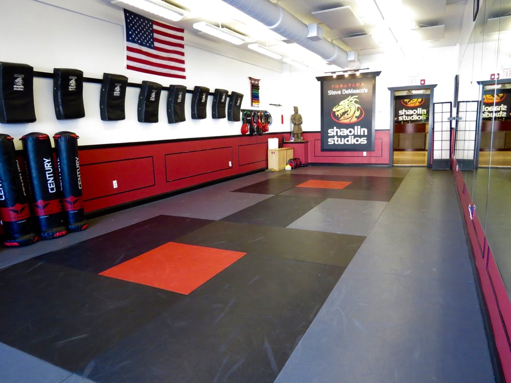 Steve DeMasco's Shaolin Studios Logo