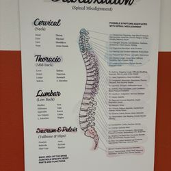 Oly Family Chiropractic