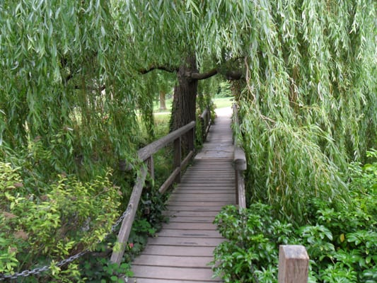 The Bishop's Palace & Gardens by null