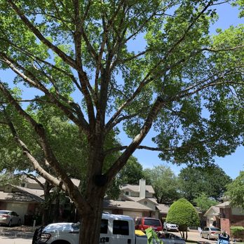 PRV Tree Service - Tree Services Near Me PRV Tree Service - Tree Services Near Me