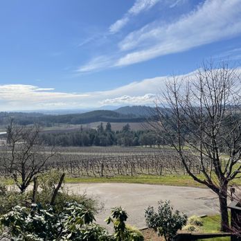 Willamette Valley Vineyards - View - Wineries Near Me - Turner, Oregon Willamette Valley Vineyards - View - Wineries Near Me - Turner, Oregon