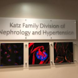 Picture Perfect Art & Frames - Corporate Hospital Work