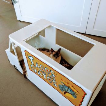 Cat Town - Animal Shelters Near Me - Oakland, California Cat Town - Animal Shelters Near Me - Oakland, California