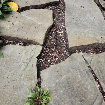 Hirt's Gardens - What my walkway looks like now. - Nurseries & Gardening Near Me - Wadsworth, Ohio
