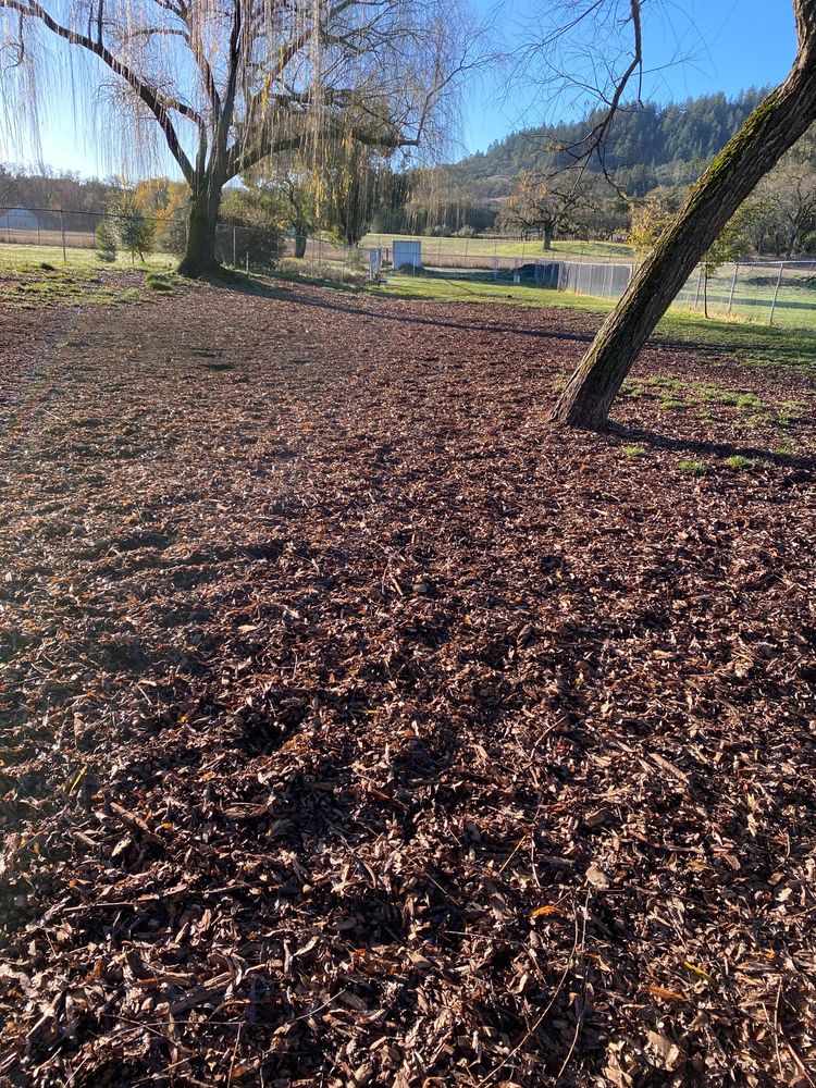 GALVIN PARK 3330 Yulupa Ave, Santa Rosa, California Parks Yelp