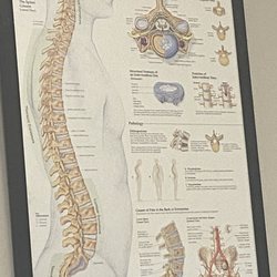 Midwest Neurology Associates - Ugh!