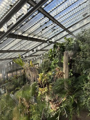 Real Jardín Botánico by null