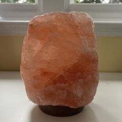Sister Thrift - salt lamp for $2!!!