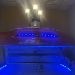 Palm Beach Tan - Tanning Bed
