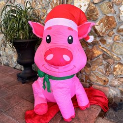 Little piggy