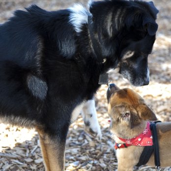 1. Paw Meadow Dog Park