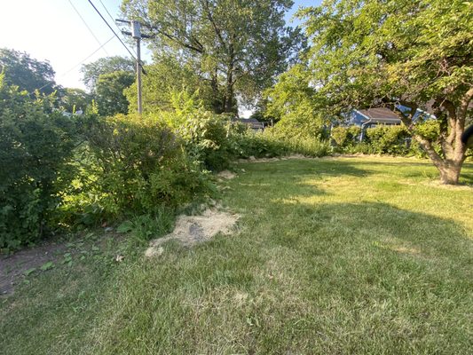 Grading with foundation cracks repaired and weed control - This project was done to a property that the owner was dealing with water entering the basement. We discovered the east side of the home needed to be brought up to grade and downspouts needed repair. This property also needed some TLC basically needed to remove all the weeds around the entire property and the customer wanted a few bushes removed to open the yard up a bit more. We were able to find a few large cracks in the foundation and window wells that were badly rusted with large holes. All these things we discovered were replaced or repaired and our customer was very happy with the work we completed. We are now the regular landscaping maintenance contractor. Grading with foundation cracks repaired and weed control - This project was done to a property that the owner was dealing with water entering the basement. We discovered the east side of the home needed to be brought up to grade and downspouts needed repair. This property also needed some TLC basically needed to remove all the weeds around the entire property and the customer wanted a few bushes removed to open the yard up a bit more. We were able to find a few large cracks in the foundation and window wells that were badly rusted with large holes. All these things we discovered were replaced or repaired and our customer was very happy with the work we completed. We are now the regular landscaping maintenance contractor.