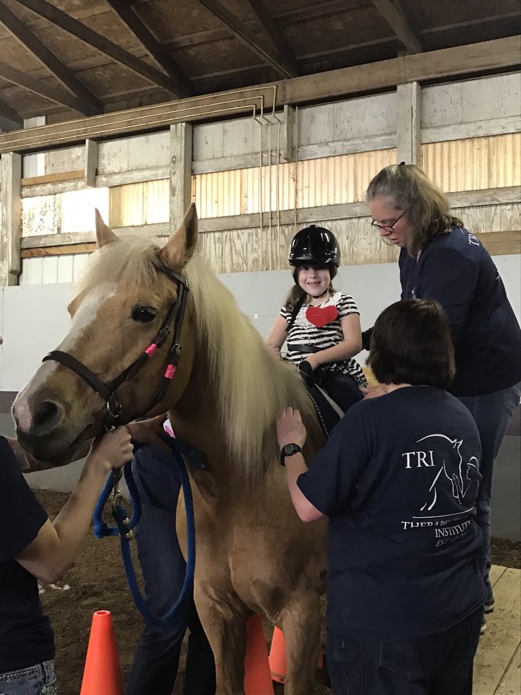 Therapeutic Riding Institute - equestrian in Spring Valley, OH