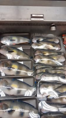 Oki's Seafood Corner Foodland by null