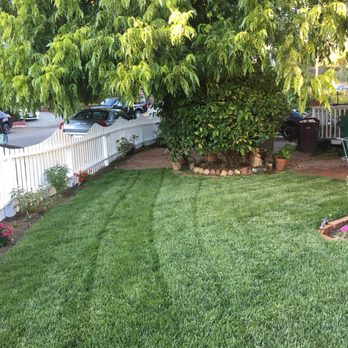The Sod Shop - Nurseries & Gardening Near Me - Martinez, California The Sod Shop - Nurseries & Gardening Near Me - Martinez, California