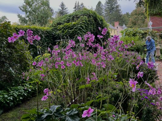 Strawbery Banke Museum by null