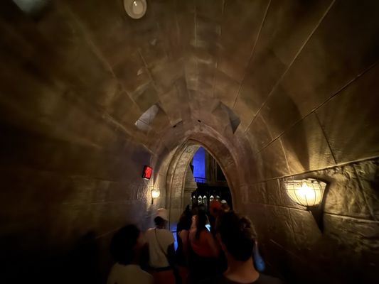 Harry Potter and the Forbidden Journey by null