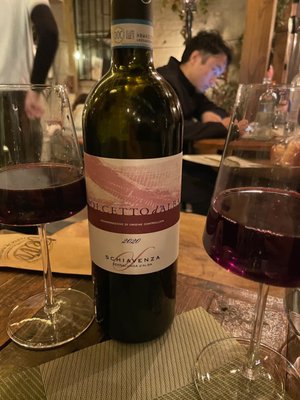 Terre| Pasta & Natural wine by null