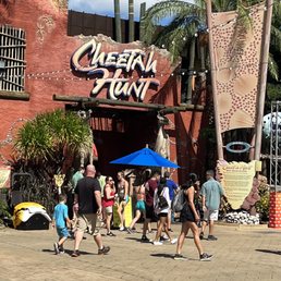 Exterior photo of Cheetah Hunt - Tampa, Florida Exterior photo of Cheetah Hunt - Tampa, Florida