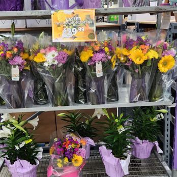 BJ's Wholesale Club - spring flowers! - Wholesale Stores Near Me - Southington, Connecticut