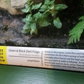 Fernbank Science Center - Museums Near Me - Atlanta, Georgia