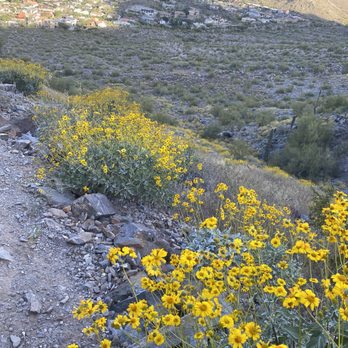 Piestewa Peak - Parks Near Me - Phoenix, Arizona