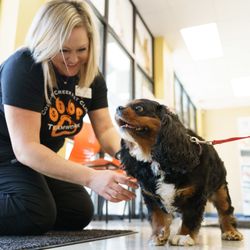 Cottner Creek Pet Clinic