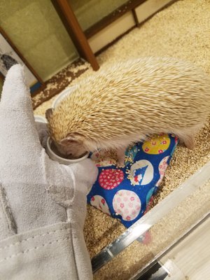 Chiku Chiku Cafe by null