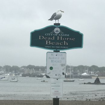 Dead Horse Beach - What a picture perfect pose.  I can't believe this guy was sitting there in the rain 5-24-17 - Beaches Near Me - Salem, Massachusetts