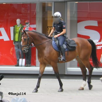 Polizeidirektion - Reiterstaffel, Polizei Hannover - Police Departments Near Me - Hanover, NI