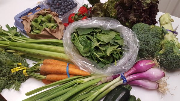 Greenhearts Family Farm Online Farmers Market by null