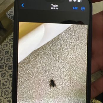 Avalon Dublin Station - Cockroaches - Apartments Near Me - Dublin, California