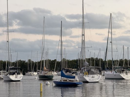 Coconut Grove by null