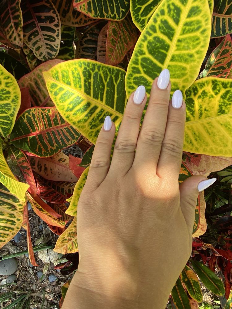 Magnolia Nails & ilashes Image