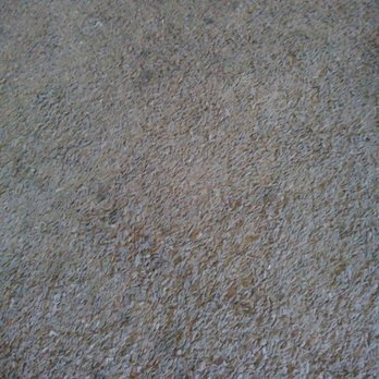 Be Green Carpet Cleaning 28 Reviews Carpet Cleaning Las Vegas Nv Phone Number