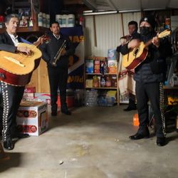 Mariachi Mexicanissimo - The Mariachi group at my house