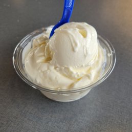 Vanilla Custard